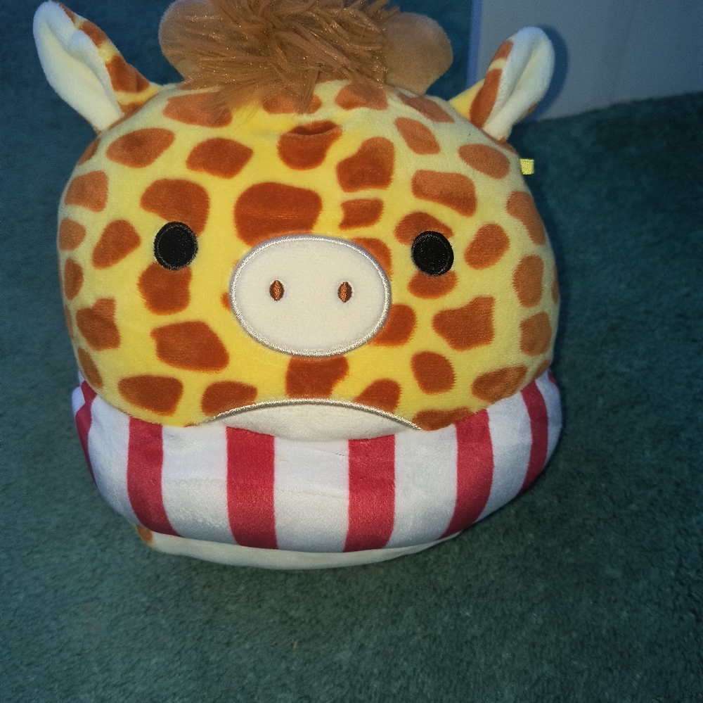 gary in float squishmallow